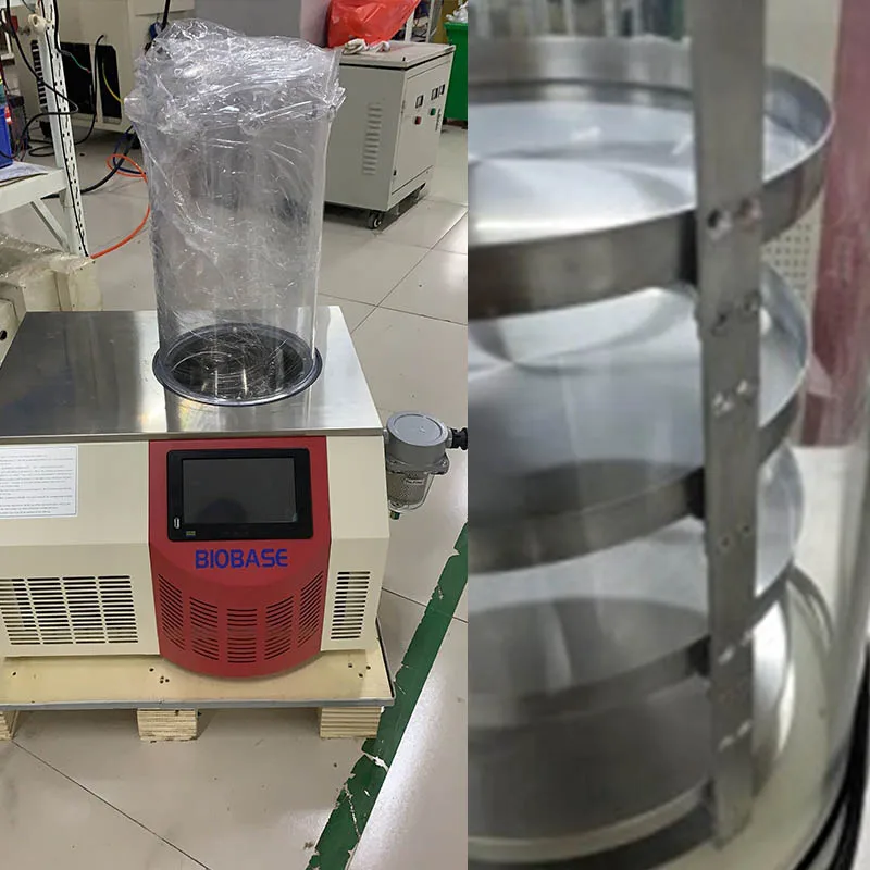 China Best Selling Laboratory Vacuum Freezer Dryer Small Lyophilizer