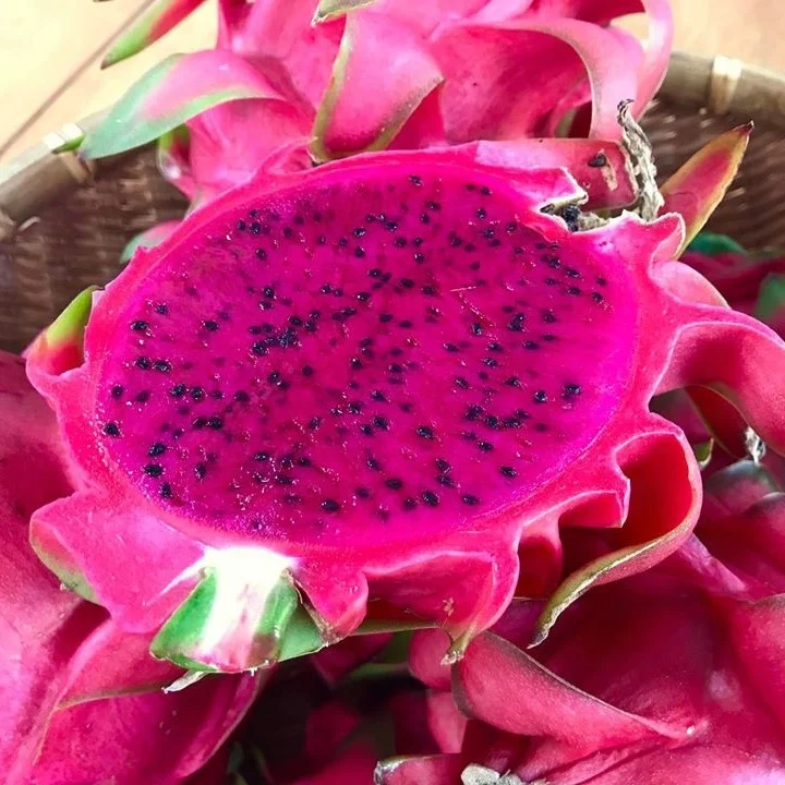 
100% Natural Fresh Tropical Fruits Fresh Red Dragon Fruit For Sale 