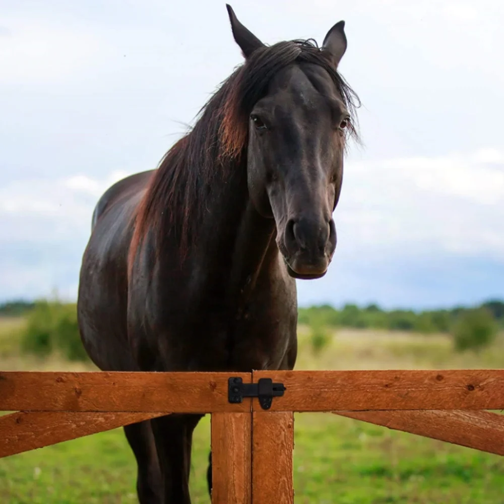 Комплекты оборудования для черной двери сарая с защелкой для ворот
