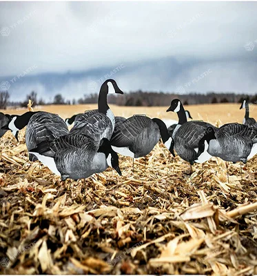 New design corrugated sheet snow goose  floater decoys hunting for sale