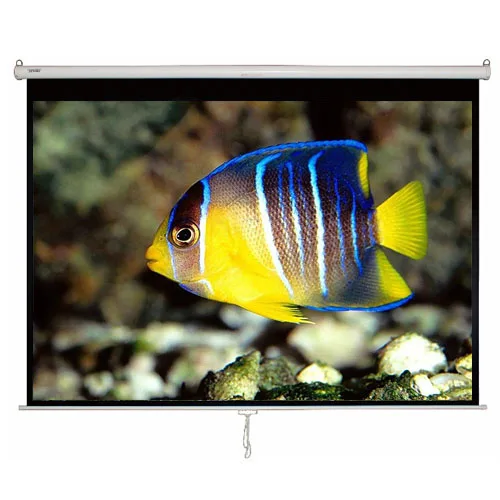 
70 inch Manual Pull Down Projection Screen with matte white fabric Wall Mounted Projector Screen 