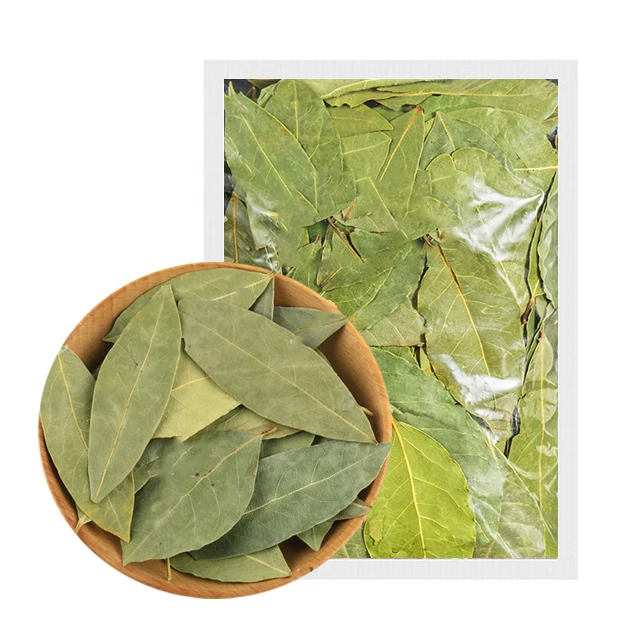 Natural New Dried Whole Laurel Leaf Ground For Spice Export Dried Laurel Leaves Xiangye Bay Leaf