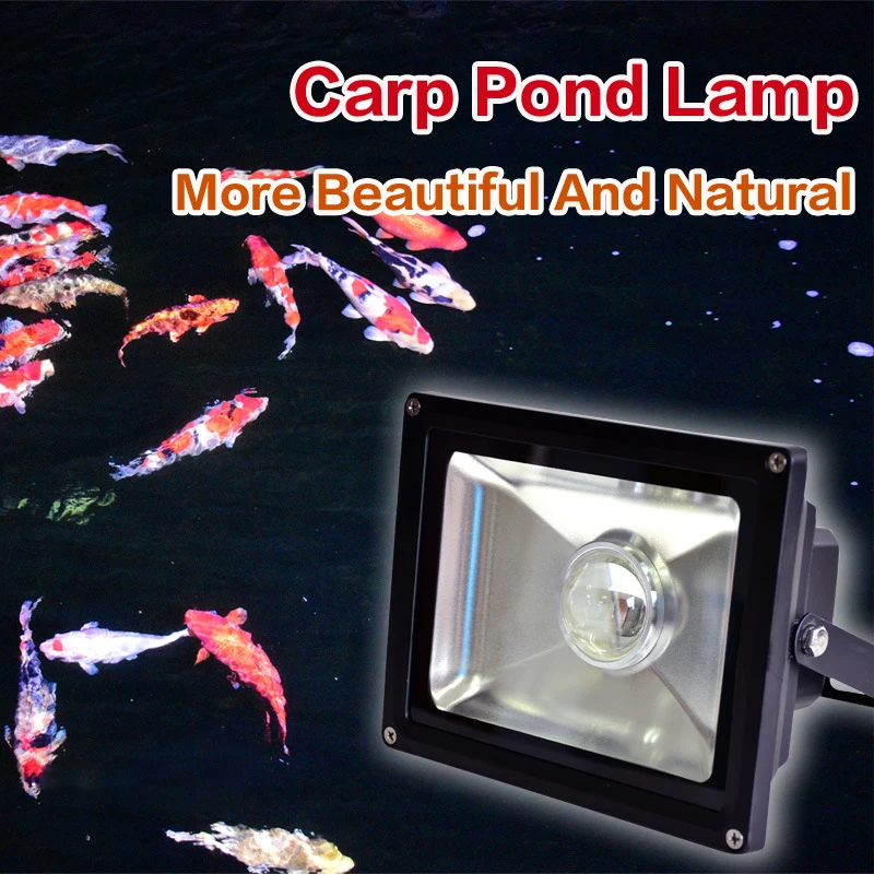 High Quality Rainproof And Dustproof Outdoor Fish Pond Light More Natural For Carp Pond Lamp