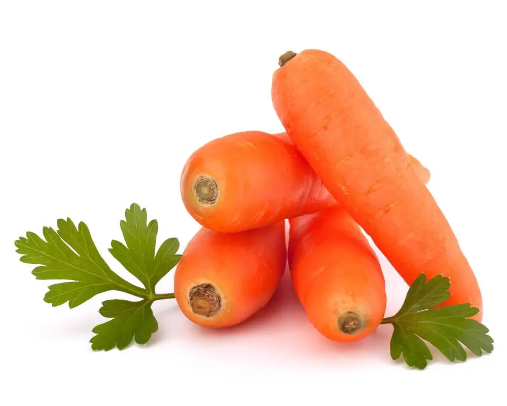 Chinese Fresh Carrots