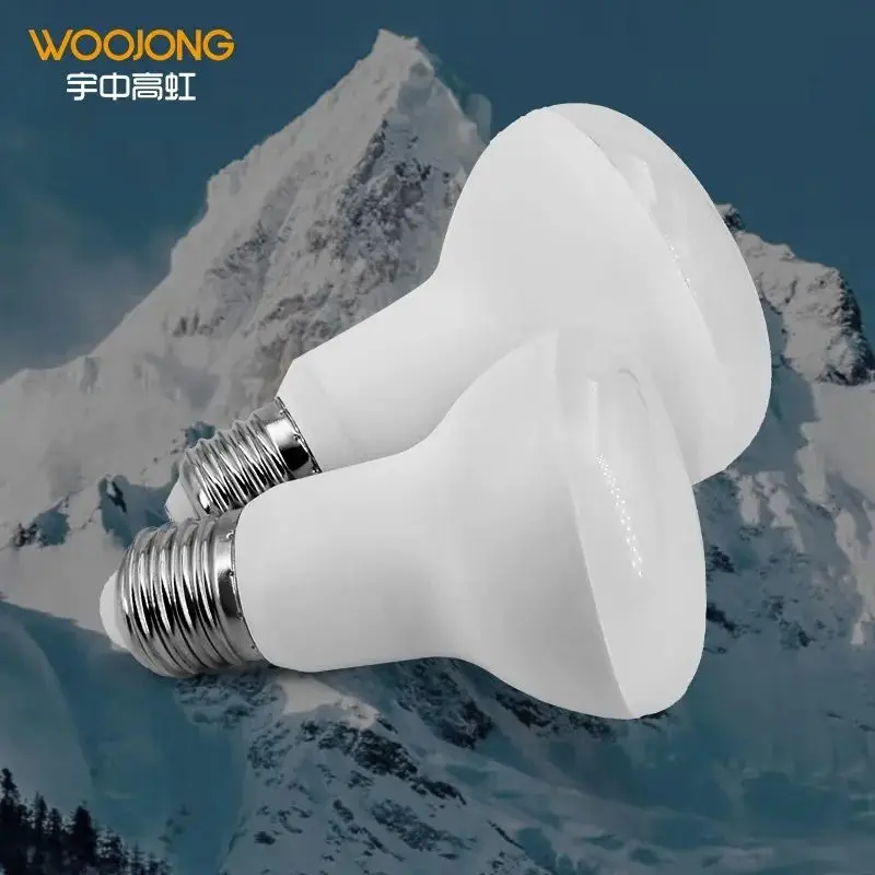 WOOJONG High Quality LED R Lamp R39/R50/R63/R80 E14/E27 AC Power LED R Bulb with Plastic Lamp Body for Home and Office