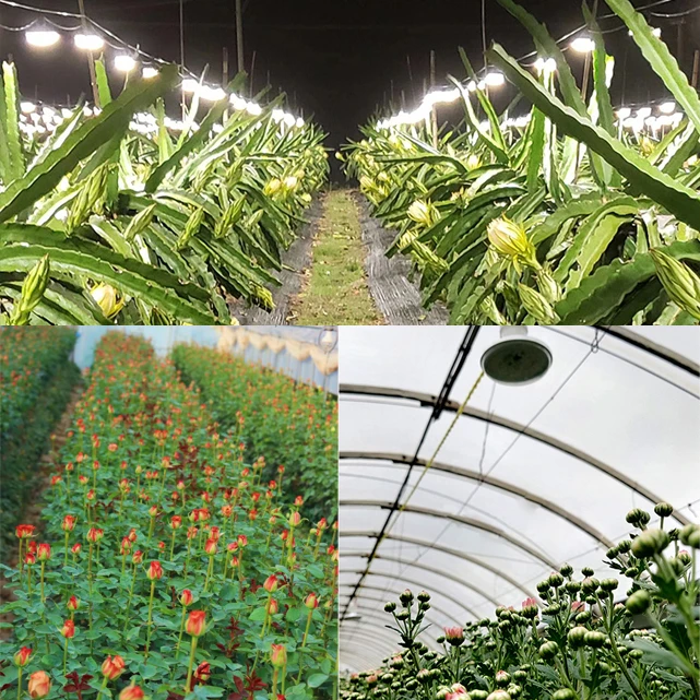 Dragon fruit off-season growing light Promote Flowering Full Spectrum E27 15W Outdoor/Greenhouse UFO LED Plant Growth light bulb