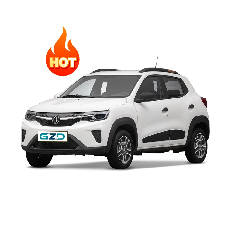 Dongfeng Nano Box EX1 01 2024 Latest Pure Electric Cheapest EV Car Range 331km Compact Mini SUV for Sale