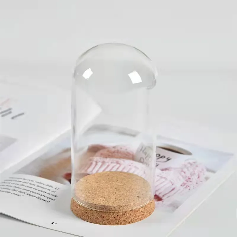 hot selling wholesale price available different sizes small glass dome with cork base