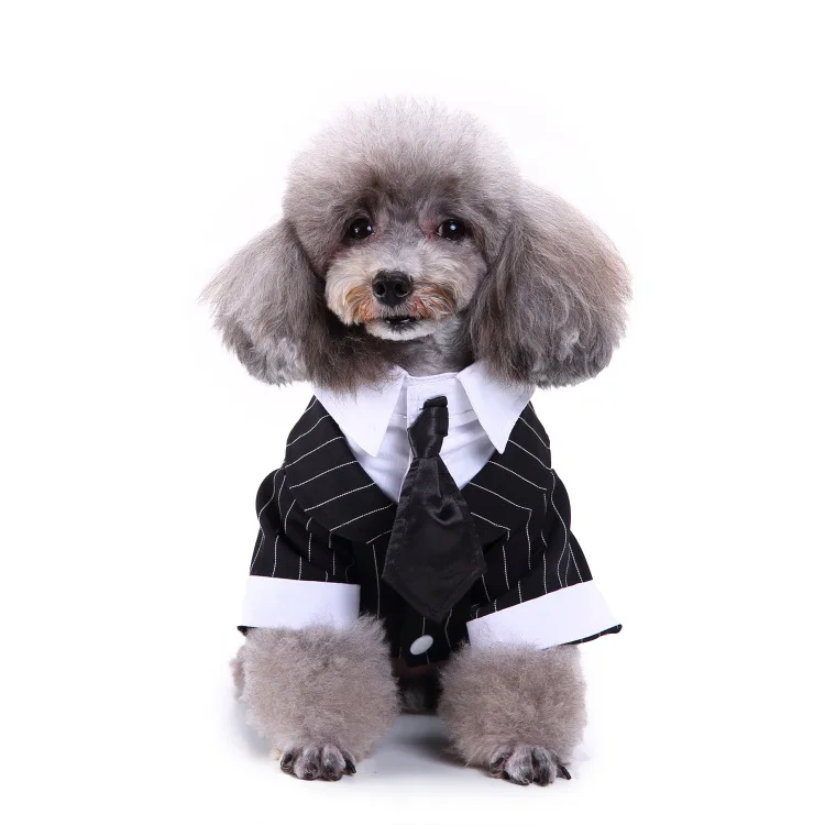 Stylish Cotton Pet Clothes for Small Dogs XL Luxury Wedding Tuxedo with Bow Tie & Black Tie for Spring