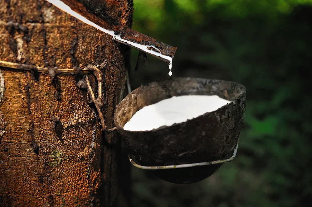 Manufacturers supply Thailand 3 trees natural Emulsion rubber  for rain shoes leather shoes