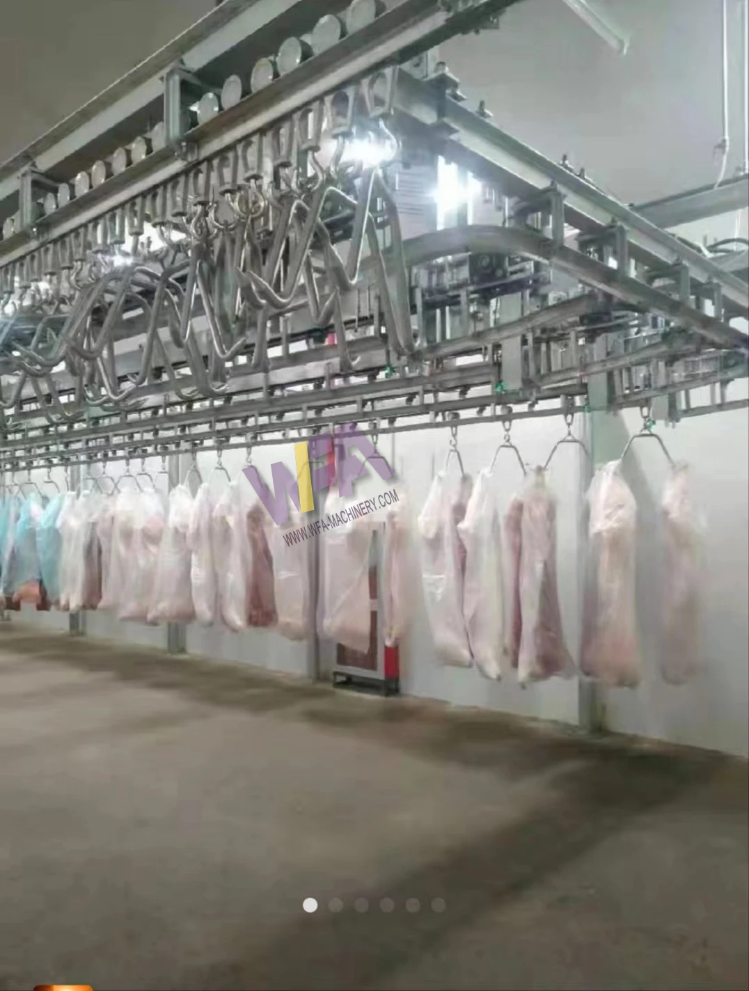 Design Small Meat Slaughter House 50 Hog Pig Abattoir Pork Line Equipment