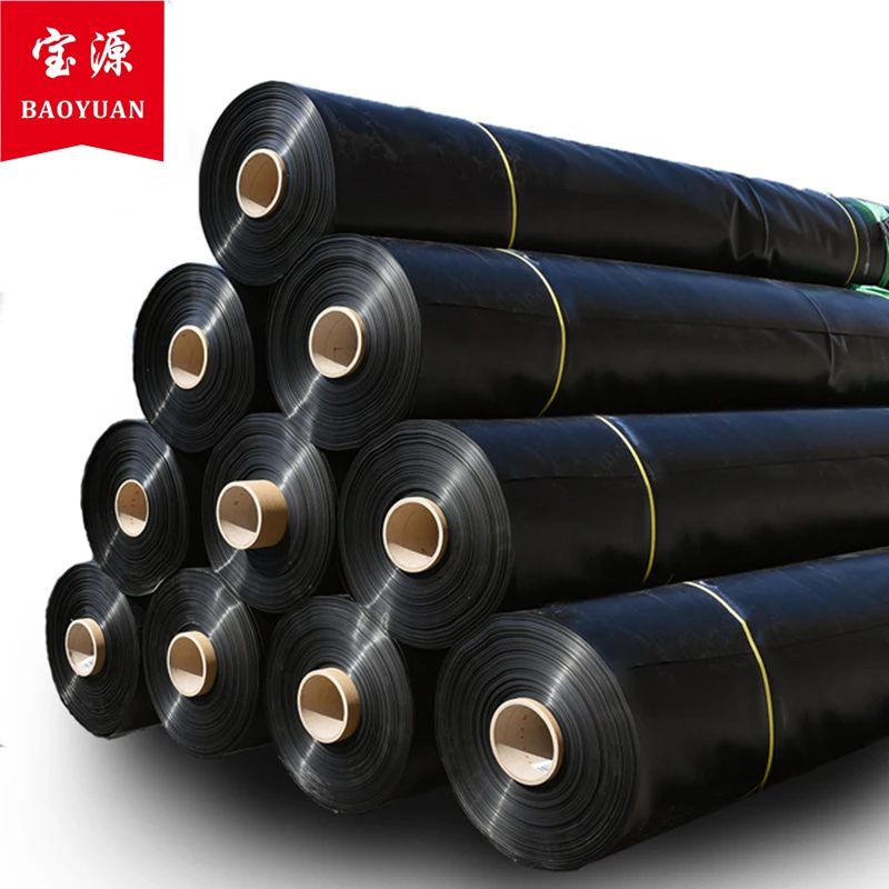 HDPE Aquaculture Fish Farm Pond Liner High Density Geomembrane Fish Tank for Fish Pond Project