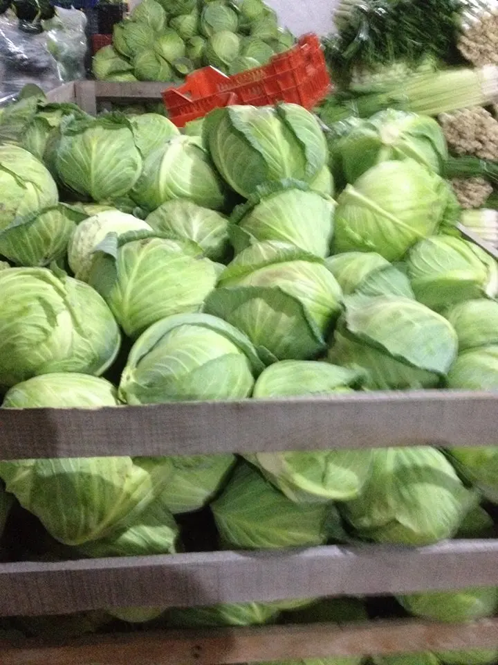 DEAL HOT Natural Green Chinese/Napa Cabbage with High Quality exporting in 2023 product of Viet Nam