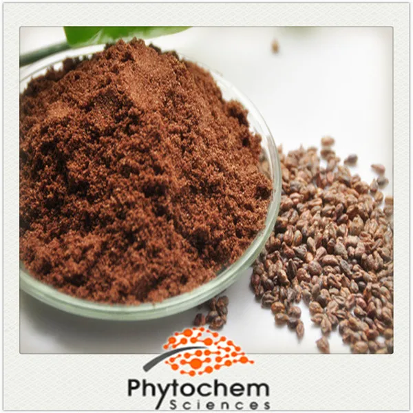 Raw Materials Manufactures Organic Fruit For Skin 80% Polyphenol 40% Anthocyanin 95% in Proanthocyanidin Grape Seed Extracts