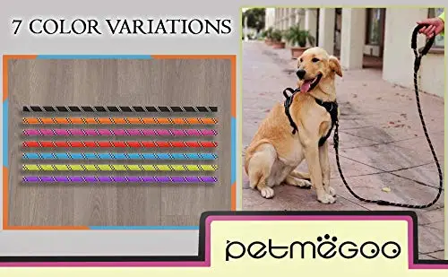 Highly Reflective Nylon Heavy Duty Dog Rope Leash with Soft Padded Anti-Slip Handle Dog Leash