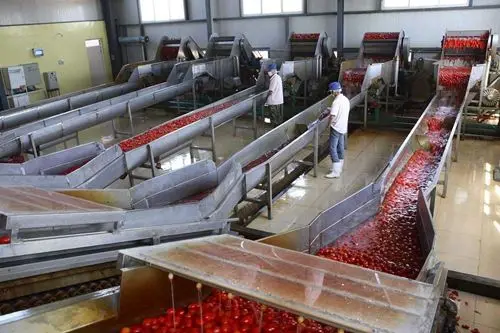KINGWISH plant turnkey project tomato paste jam sauce plant tomato jam ketchup processing line/tomato sauce plant