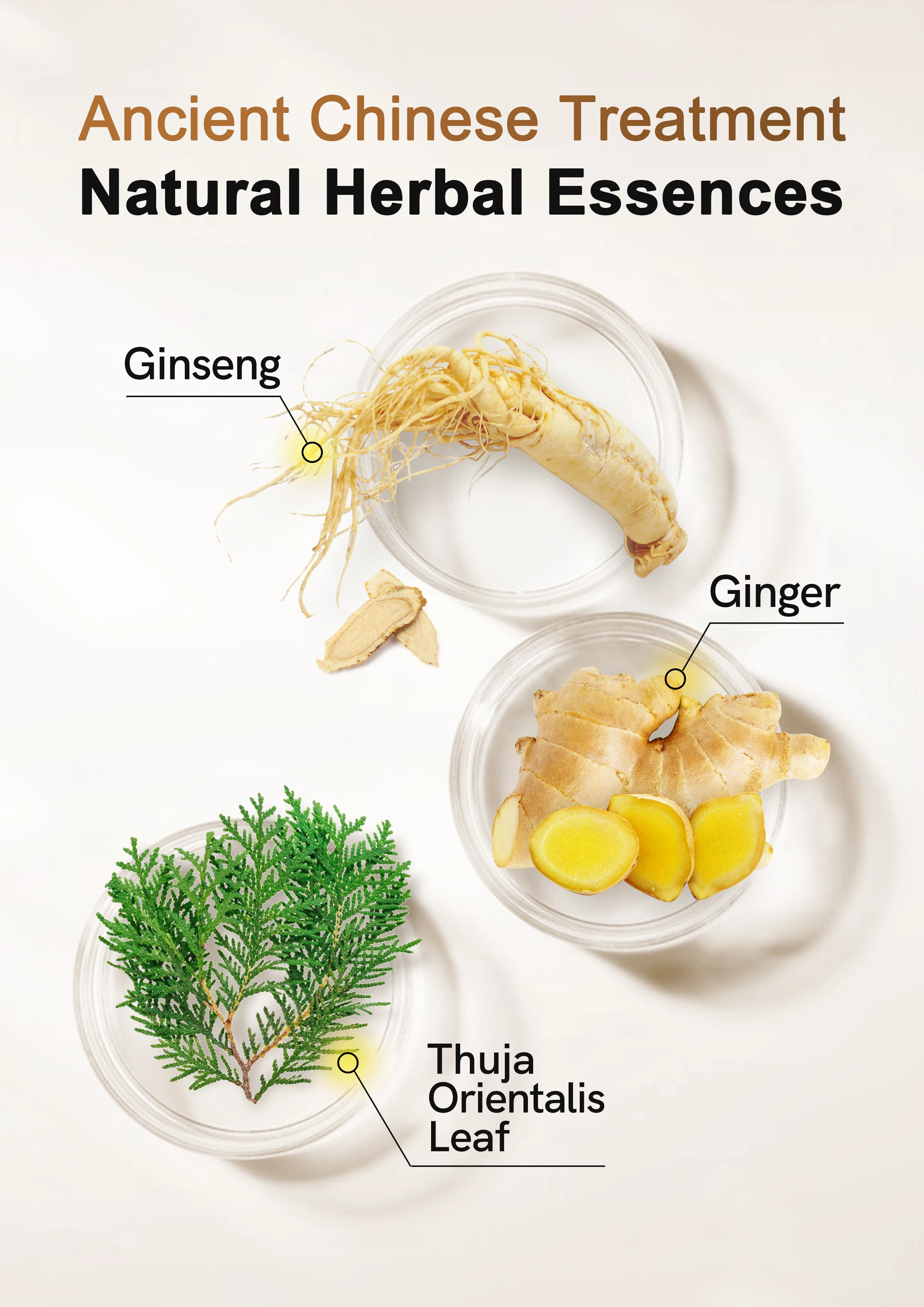 NUSPA Upgrade Formula Hair Care Sets Organic Ginger Thuja Orientails Leaf Extract Serum Anti Hair Loss Shampoo Serum