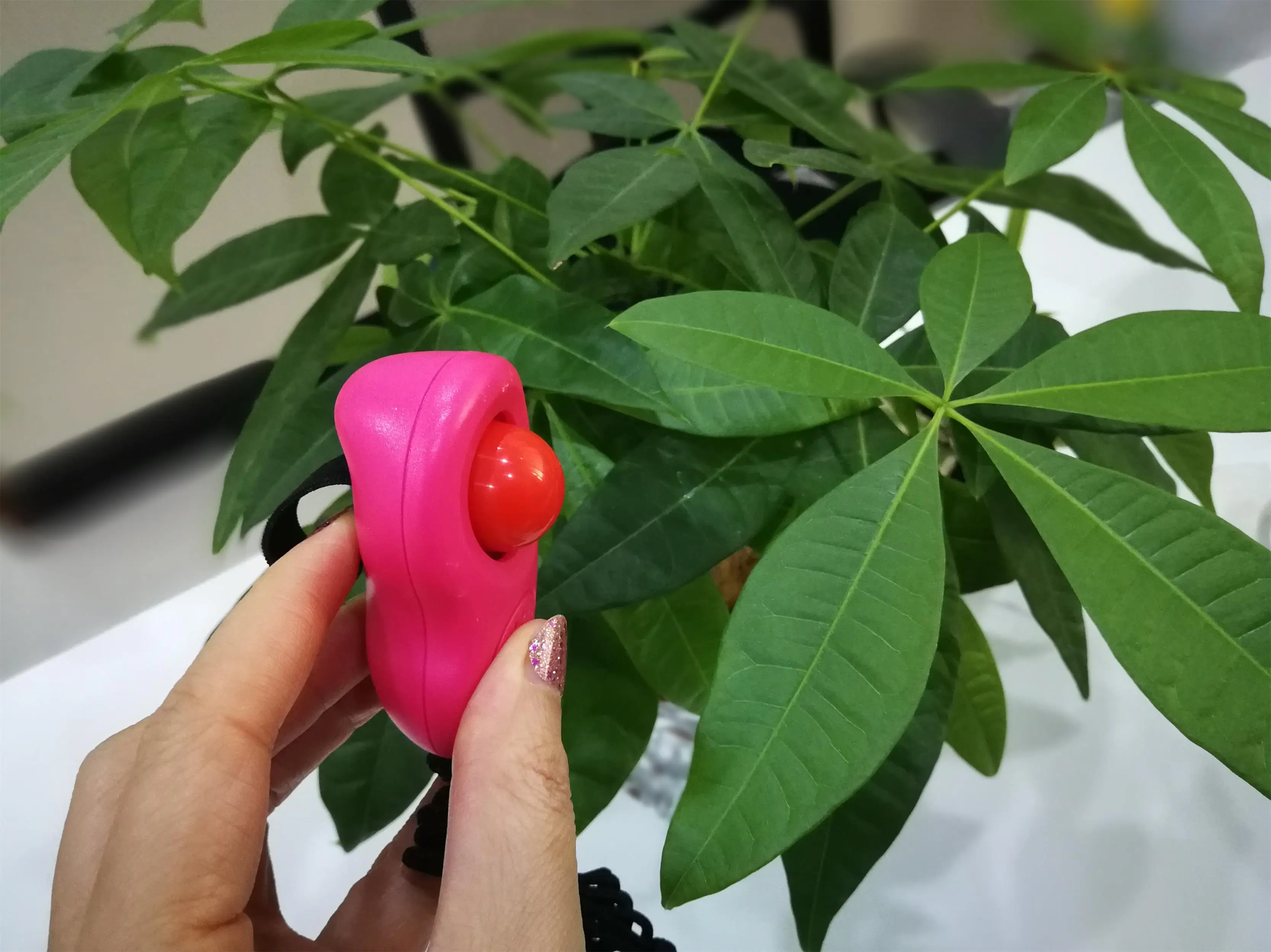 Горячая Распродажа 2021, модный розовый тренировочный кликер с кнопками, высокое качество, практичный розовый кликер для дрессировки собак