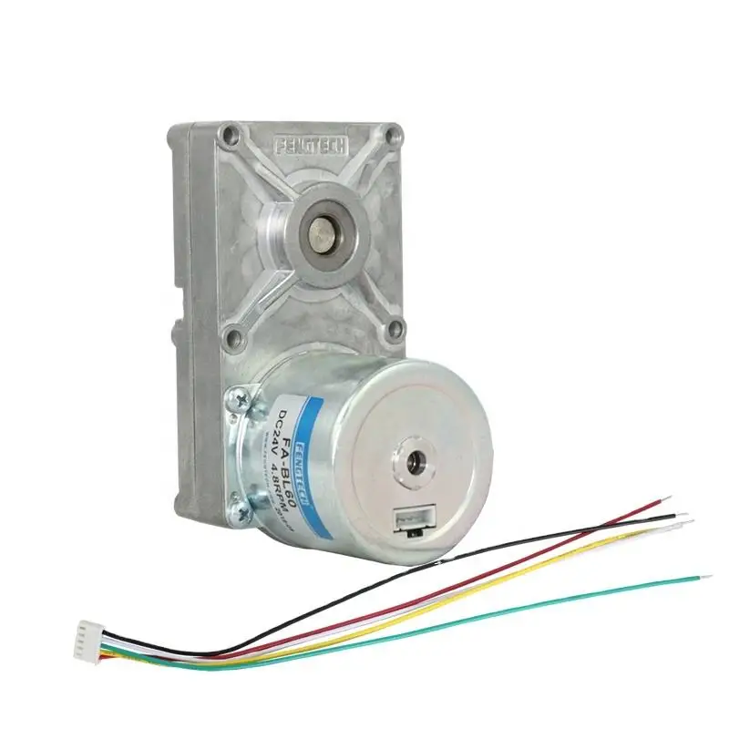 High quality control smoker Pellet BBQ Grill Gear Reducer oven feeding Motor 4.8RPM DC Motor