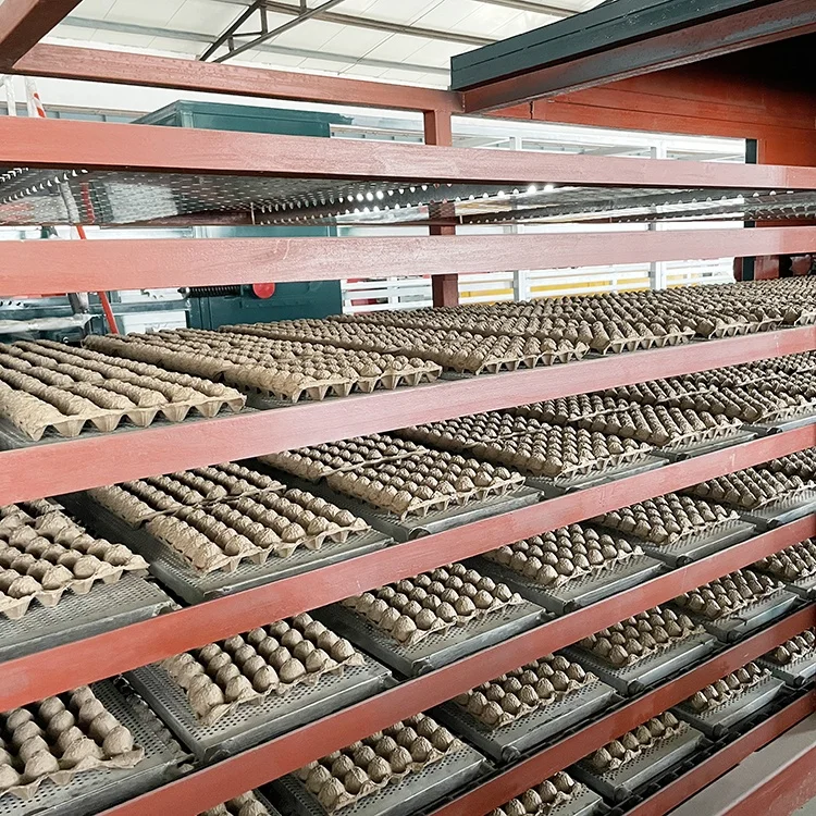 Fully Automatic rotary egg pallet making machine 4000pcs/hr pulp molding machine egg tray forming machine