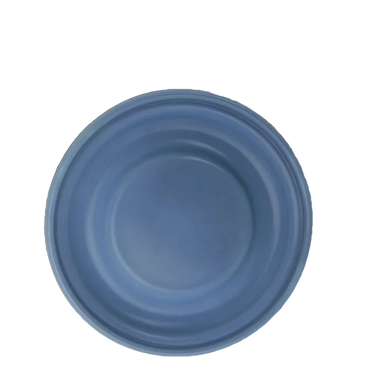 Diaphragm Valves Spare parts for dosing pumps PTFE diaphragm plates