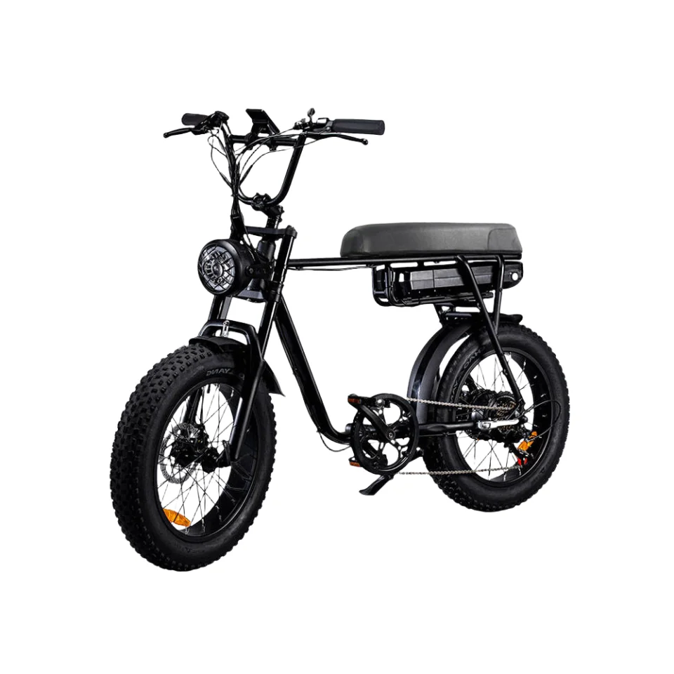 Hot Selling Quick Shipping Electric Bicycle Ebike 48V 1000W  20inch Electric Fat Tire Mountain Bike