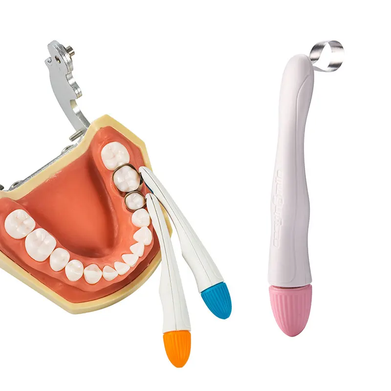 Easyinsmile dental equipment  matrix band  disposable for dental crown