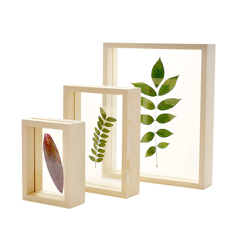 Promotional A4 Wood Double Sided Glass DIY Frames Simple Plant Specimens Frame Home Decor Photo Frames Ornaments Decoration Craf