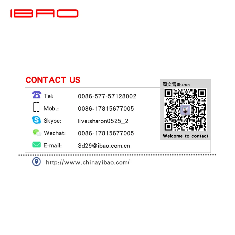 DIP Switch Surface Mount IC Type IBAO DAMF Series