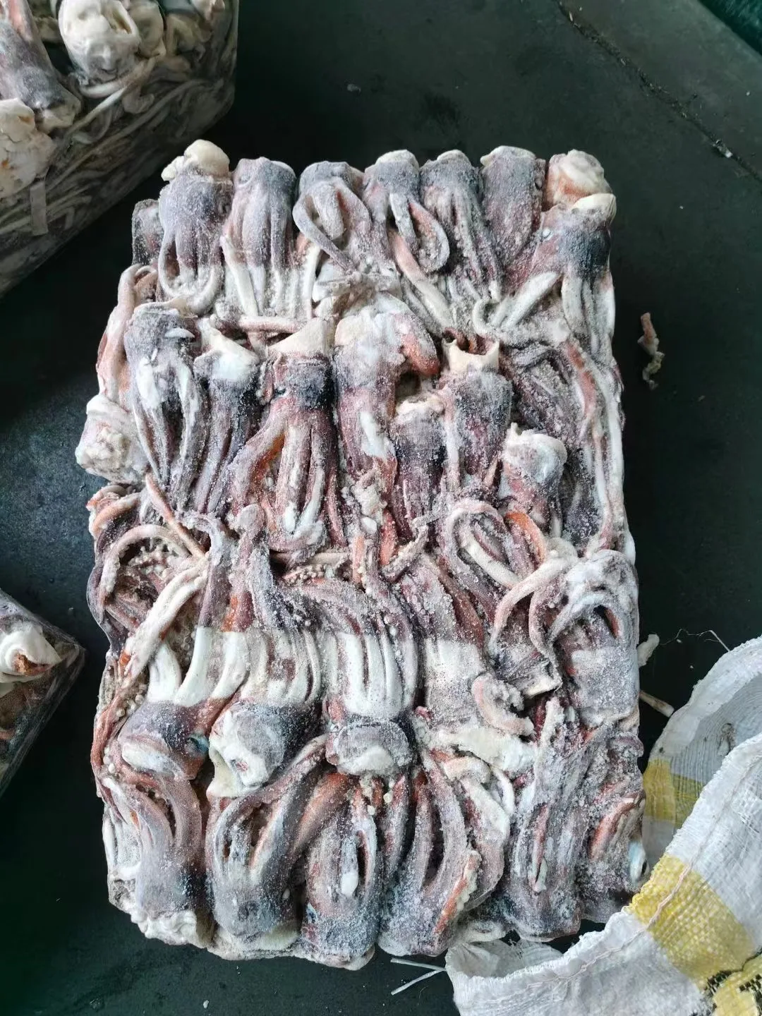 Raw Meat New Processing Calamari Tentacles Material Argentina Frozen Illex Squid Head