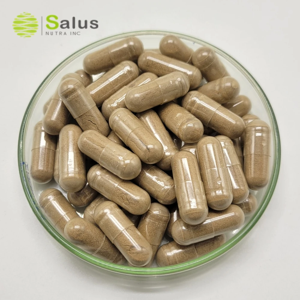 Pygeum Africanum Extract Capsules Pygeum Supplement 500mg 61 Capsules OEM Private Label For Male Prostate Health, Bladder