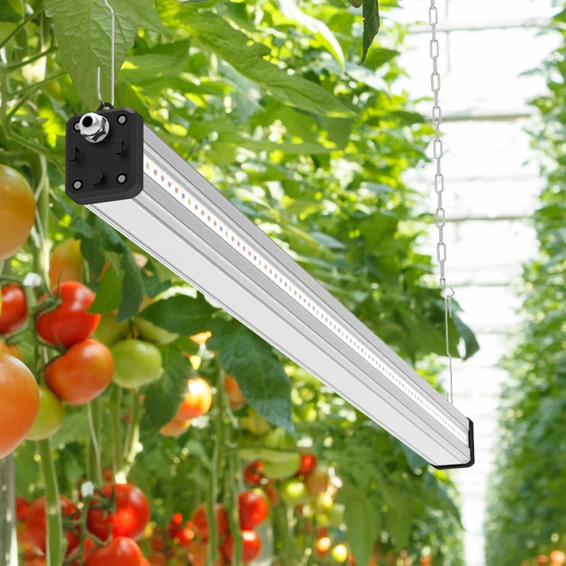Luxgrow 2.8umol/J Waterproof Red Blue 100w 200w Interlighting Led Grow Light for Stimulating Cucumber Tomatoes Plant Crop