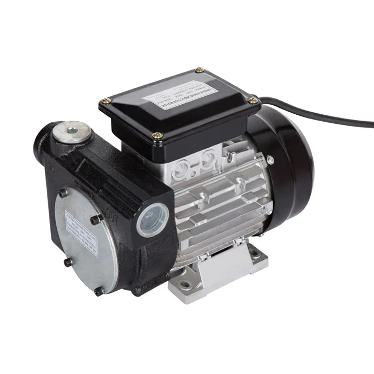 Heavy Duty Portable 80LPM AC110V/220V Large Flow Self Priming Electric Diesel Fuel Transfer Pump
