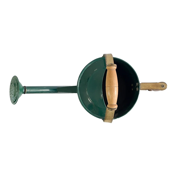 Factory new design 6L green clean galvanized metal long reach nozzle watering can