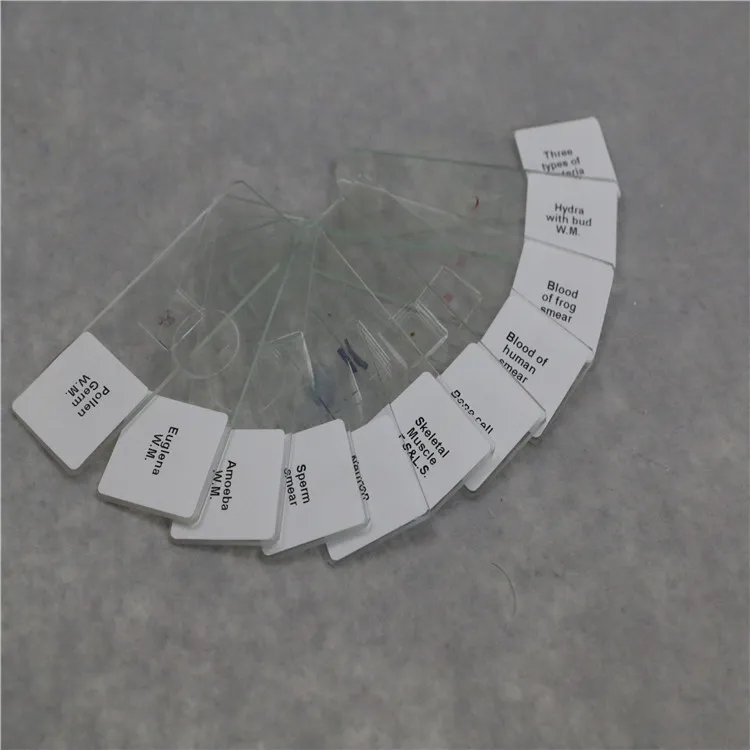 
Biology human pathology teaching diagnosis microscope slides used water park slides for college students learning 