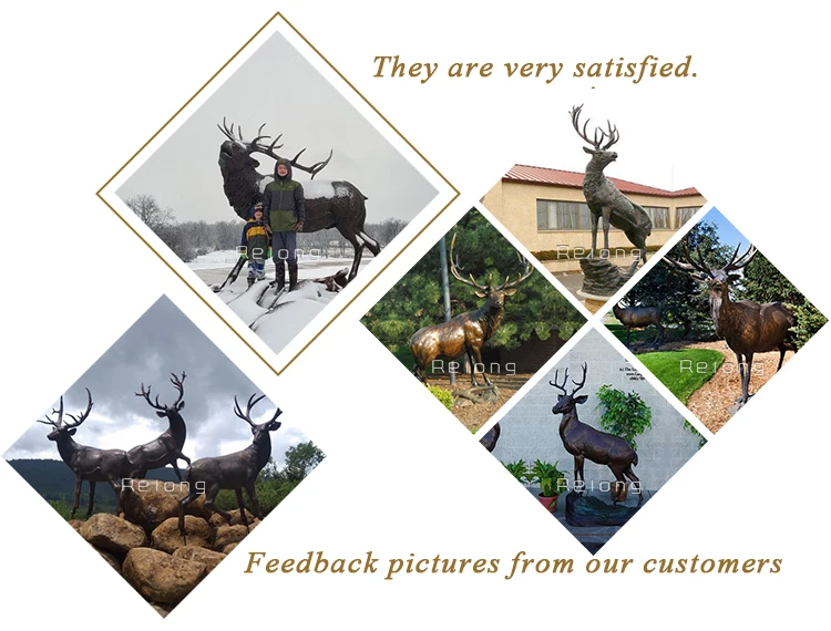feedback