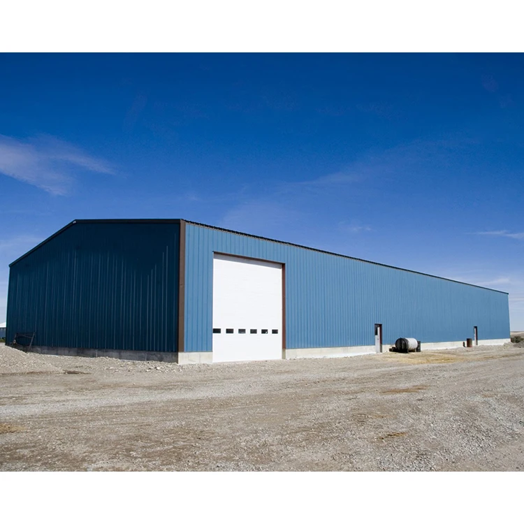 Cheap Price Steel Structure  Storage Buildings Prefab Space Frame Steel Structure Warehouse Hangar For Sale