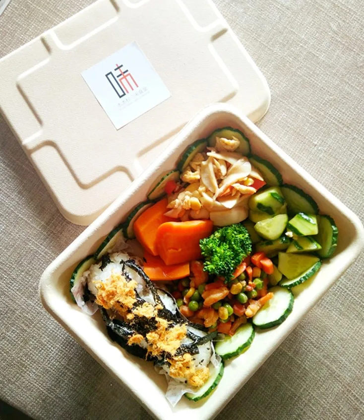 eco friendly food packaging container from bagasse containers manufacturer