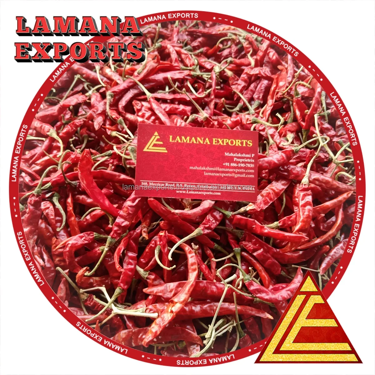 Chilli S17 Teja with Stem India Spicy Dry Red Chili Pepper Single Herbs & Spices New Crop - Dried Raw Stick 0.5% Max 3% Max 10%