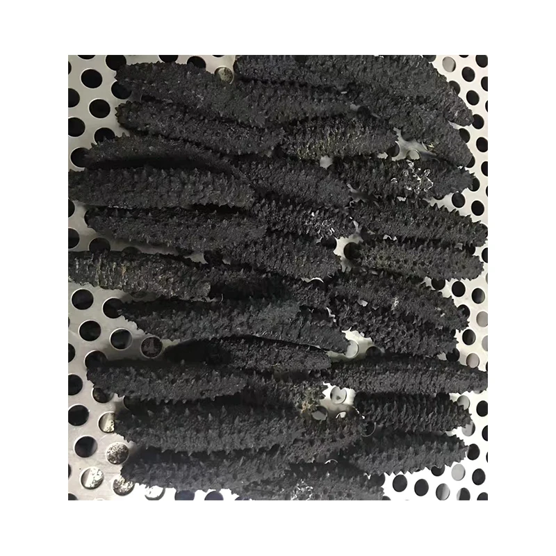 Оптовая продажа, Греция, высокое качество, свежий сушеный дикий животный морской огурец