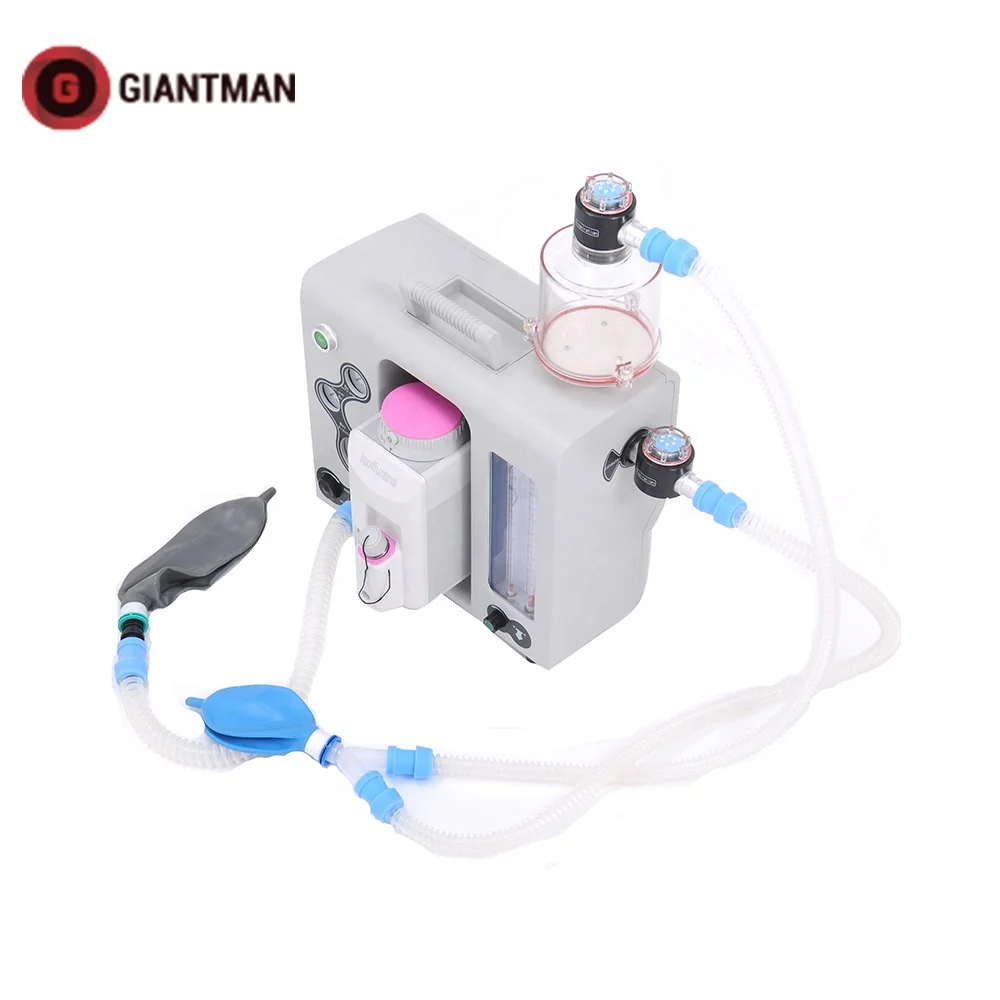 
Hospital Veterinary Equipment Portable Handheld Vet Anesthesia Machine for Animal Use 
