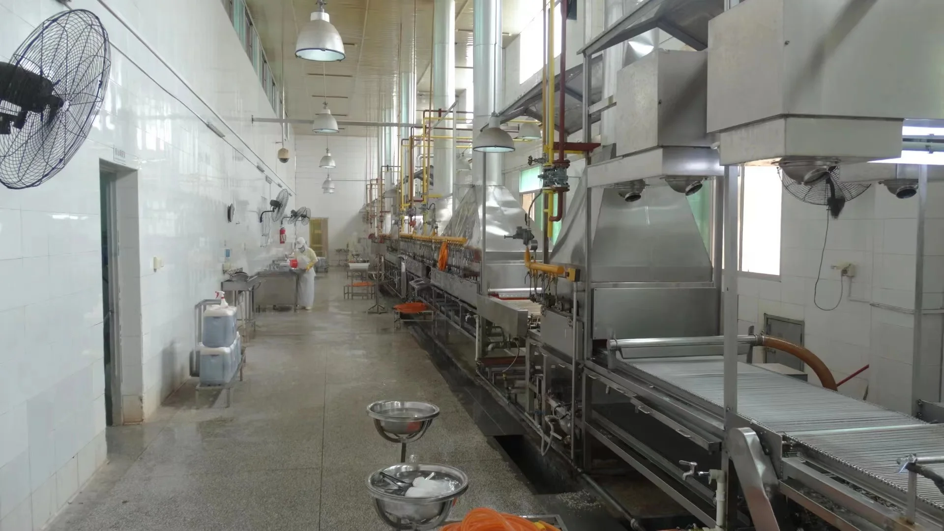 Frozen Fish Food Live Glass Eel Unagi Eel