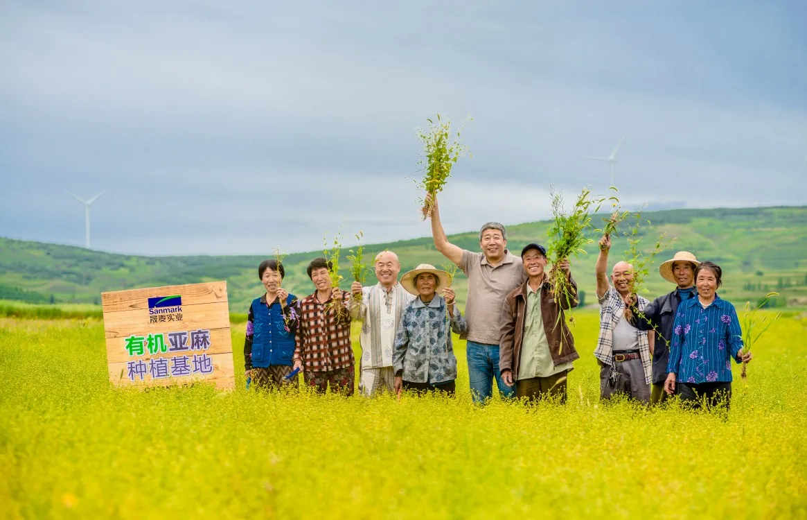 Sanmark Factory Supply Hot 55% ALA NON-GMO Flaxseed/Linseed Oil Cold Pressed Refined Flaxseed Oil For Skin Care