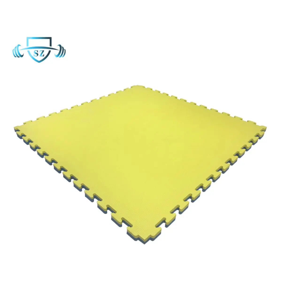 New Design Martial Arts Sparring Mat Eva Floor Art Wrestling Mats Boxing With Low Price