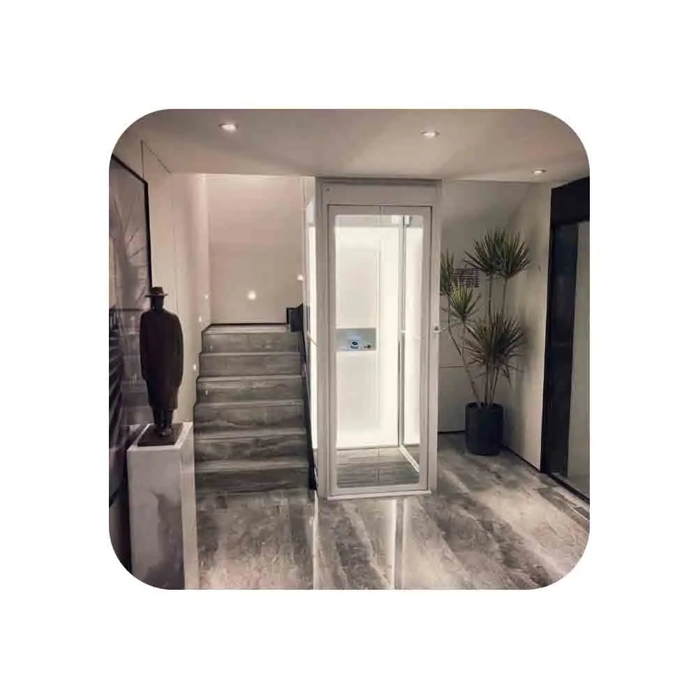 Mini lift Residential elevator Household Villa Light luxury and beautiful appearance