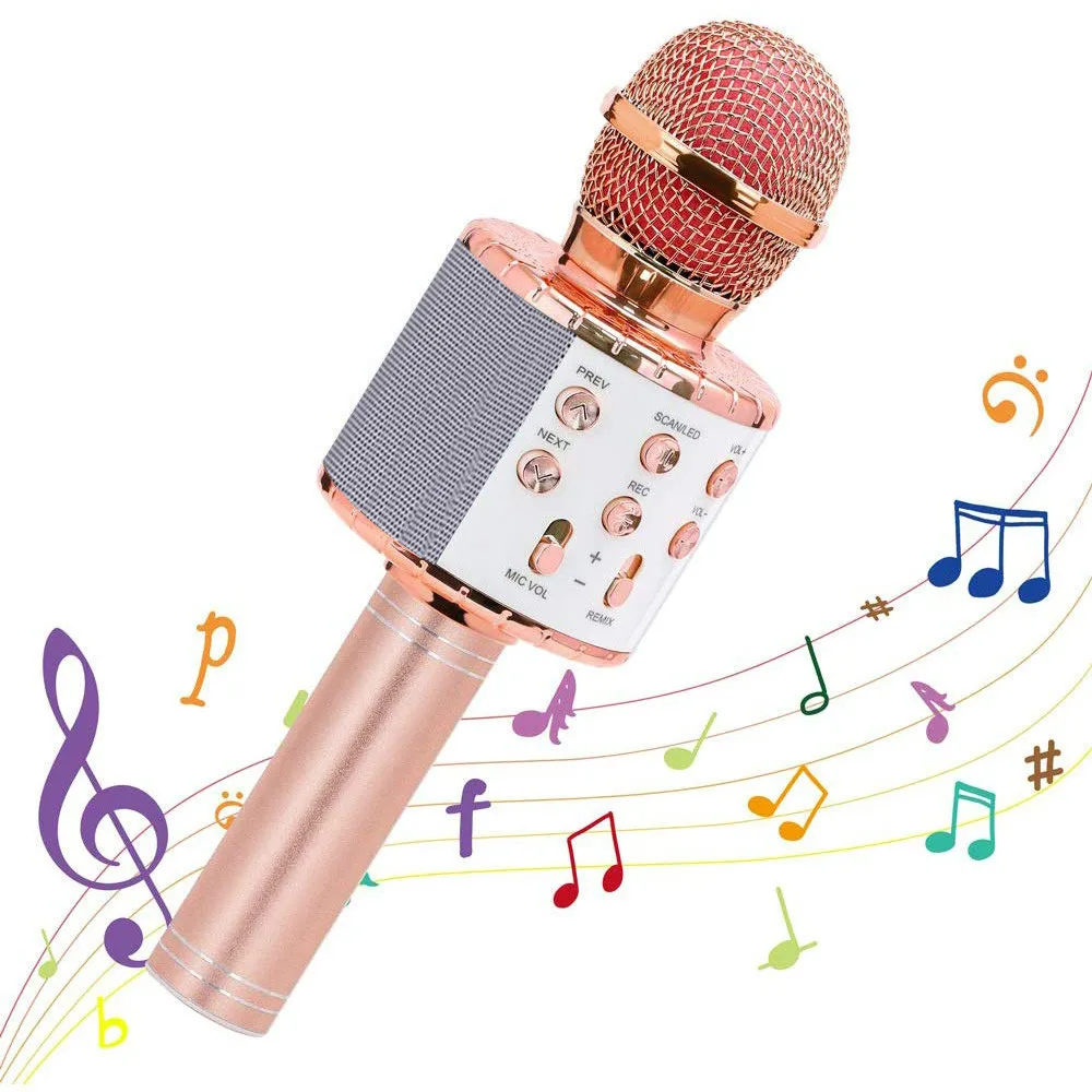 
Professional BT Karaoke Speaker With Wireless Microphone Wireless Speaker Handheld Microphones Portable Speakers For Home Party 