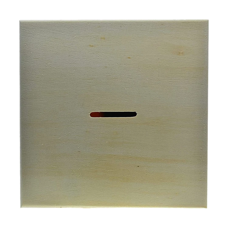Unfinished Wooden Piggy Bank DIY Plain Wood Coin Money Saving Bank Box