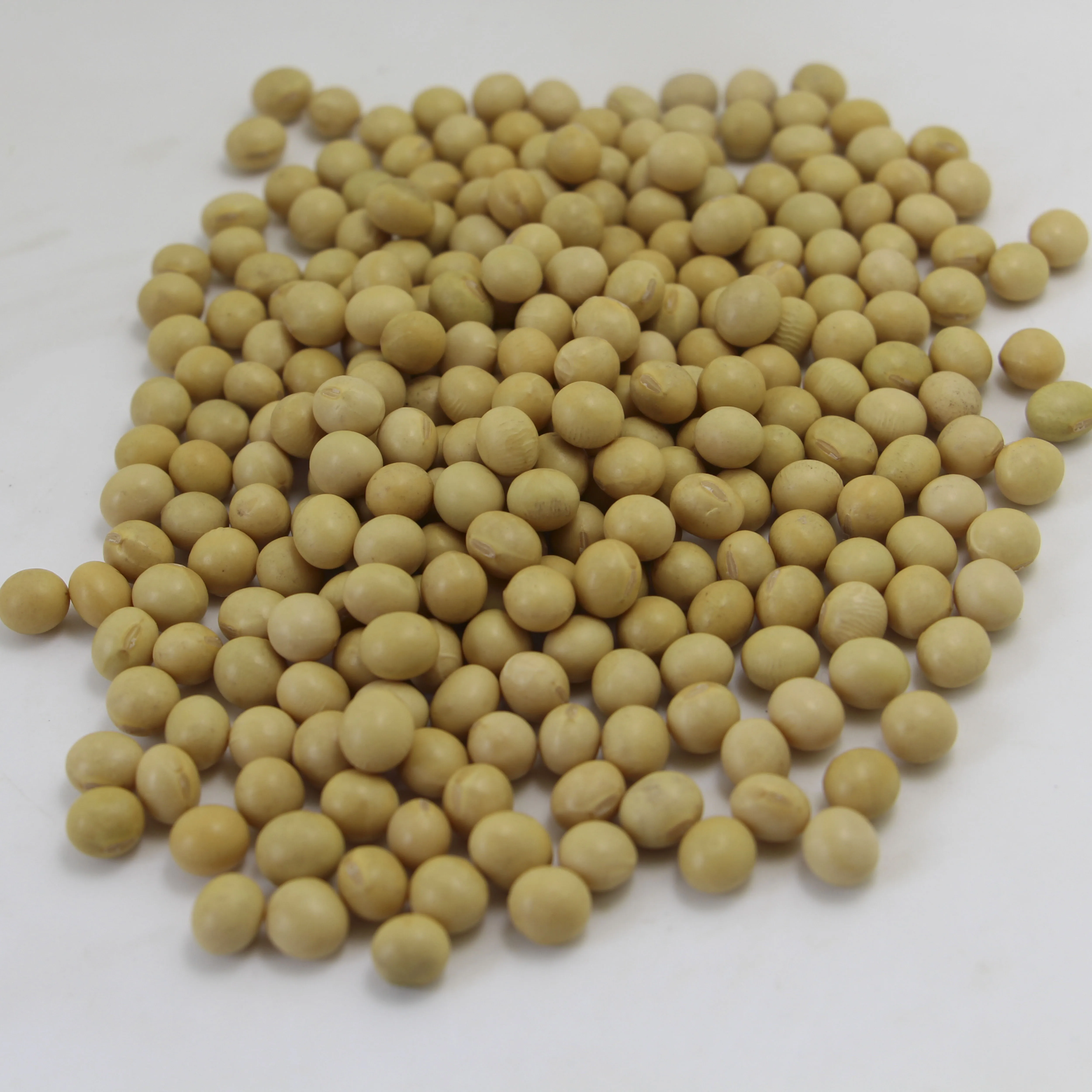 hot sale best quality china origin NON GMO soybean for export soya bean