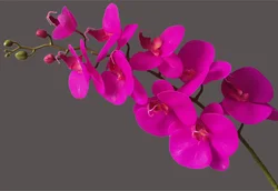 Home decoration flowers silk decorative artificial orchid flower wedding decoration