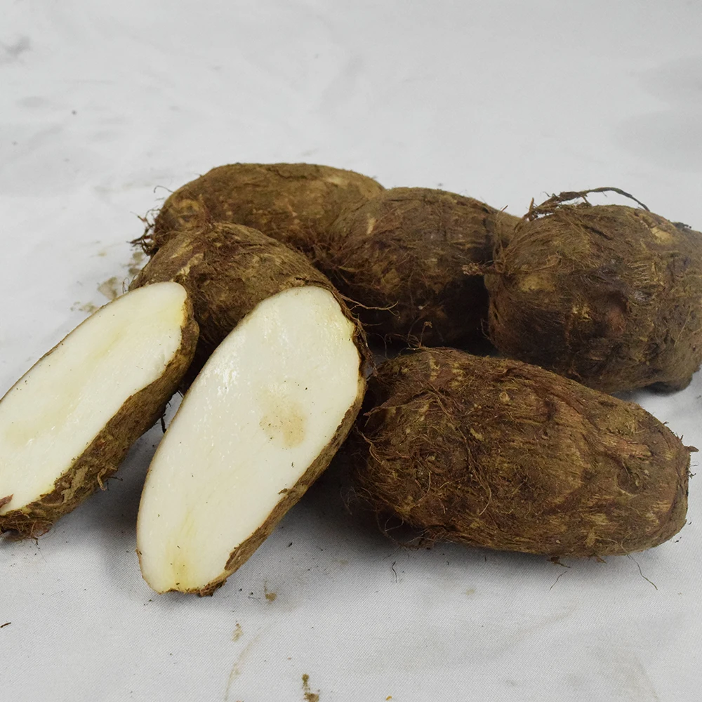 Factory Wholesale 2021 New Fresh Taro Export Fresh Packed Taro